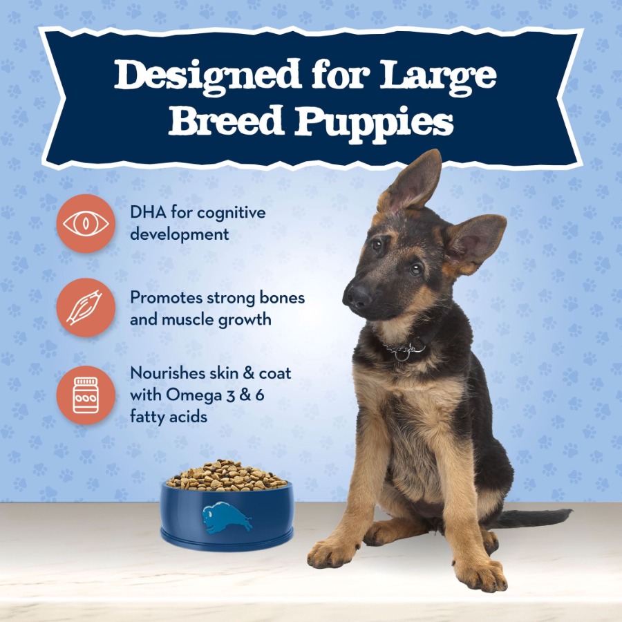 Baby BLUE Large Breed Puppy Dr - Baby Food With Chicken review and price