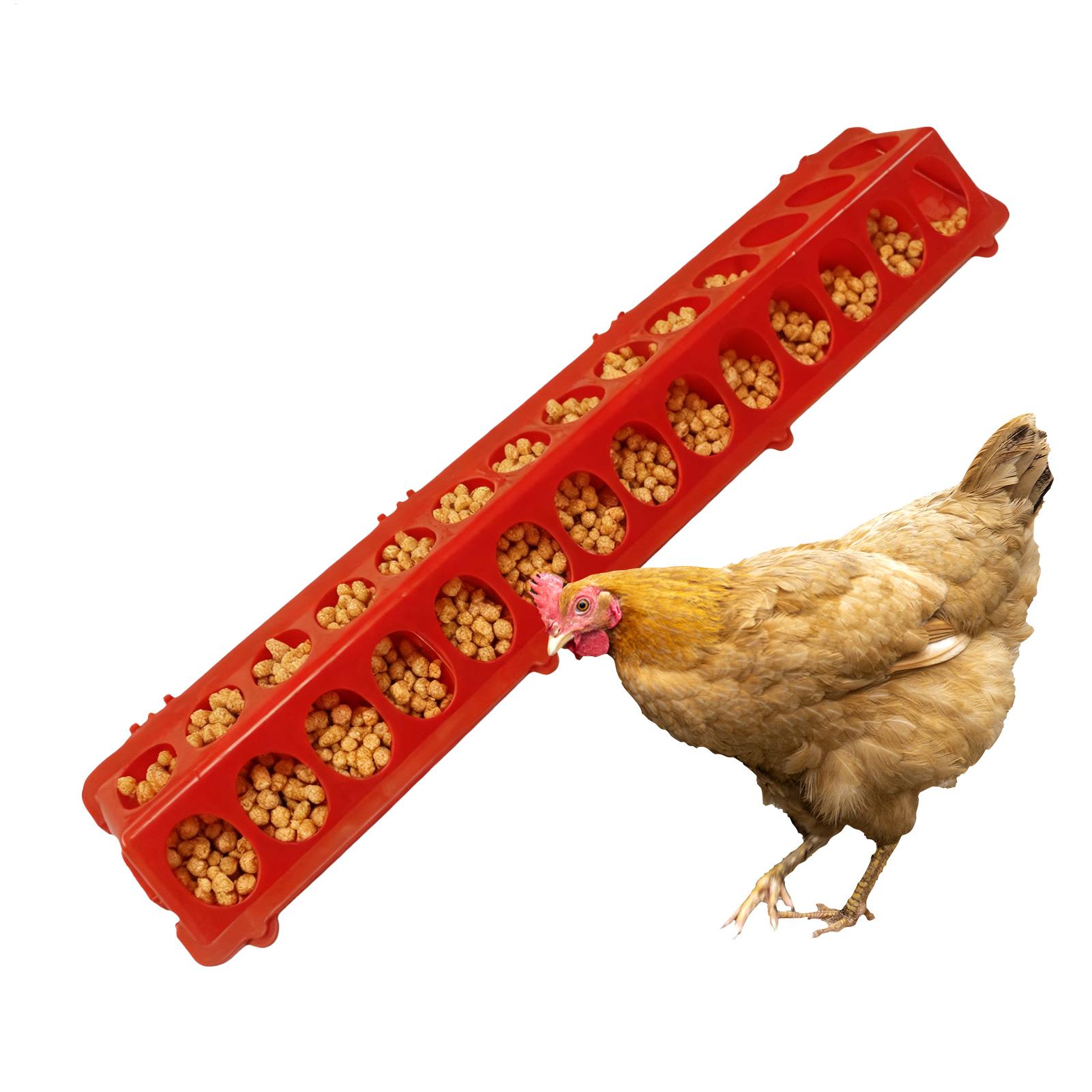Pigeon Feeder 28-hole Long Lar - Baby Food With Chicken review and price