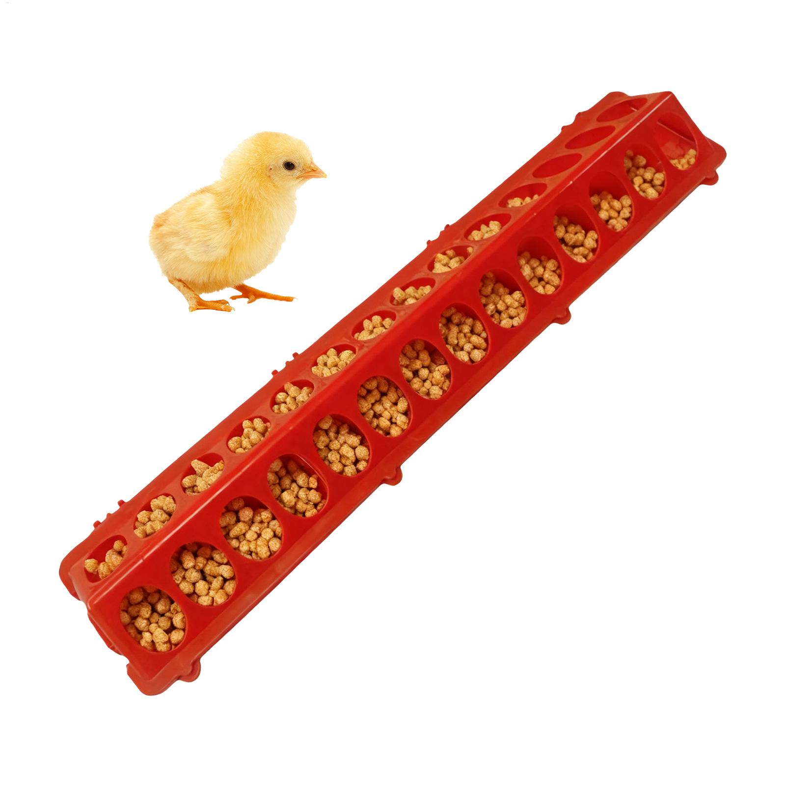 Pigeon Feeder 28-hole Long Lar - Baby Food With Chicken review and price