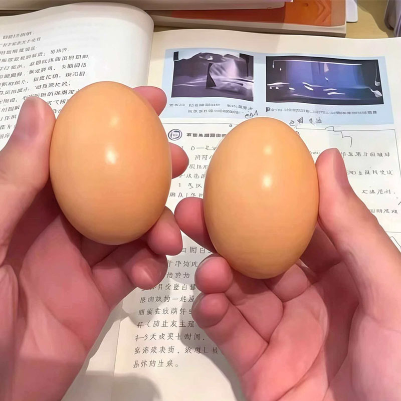 Wooden Egg for Laying Chickens - Baby Food With Chicken review and price