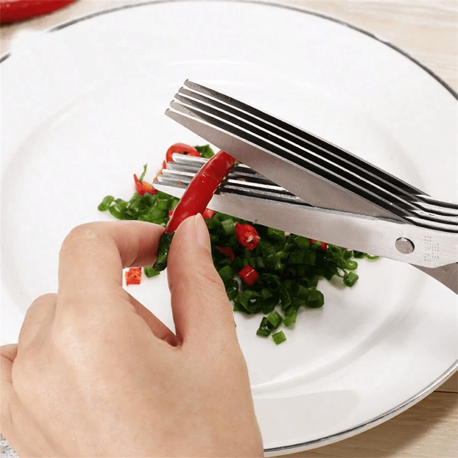 5-layer scallion chopper multi - Baby Food Scissors review and price