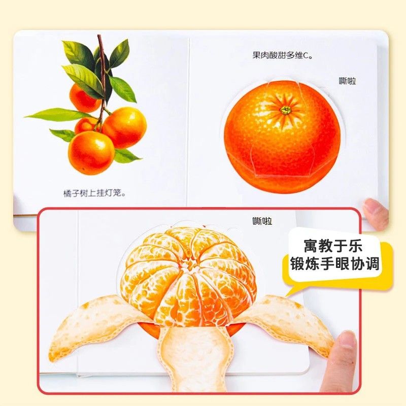 Infant Food Education Flipbook - Baby Food Age review and price